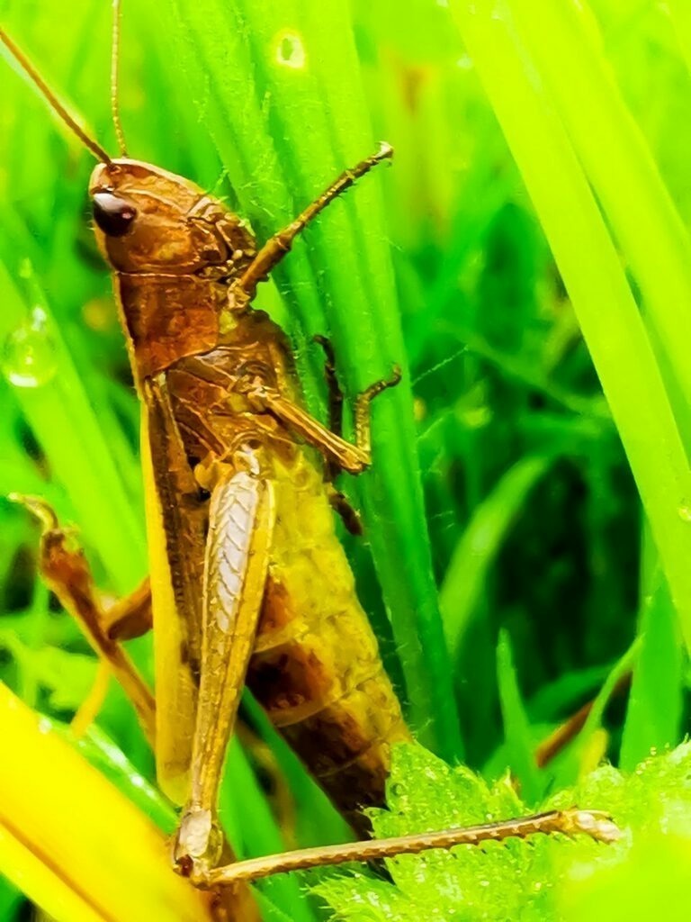 PSX_20220807_003239 | mtkfoto_ - Realisiert mit Pictrs.com