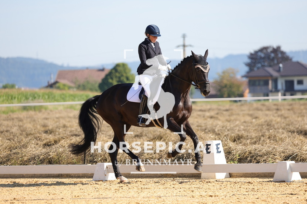 0P6A7145 | Willkommen bei Brunnmayr - Design & Fotografie – Ihrem Spezialisten für Reitturniere und Pferdeveranstaltungen in Oberösterreich, Salzburg und Bayern! Seit über 17 Jahren sind wir leidenschaftlich dabei.