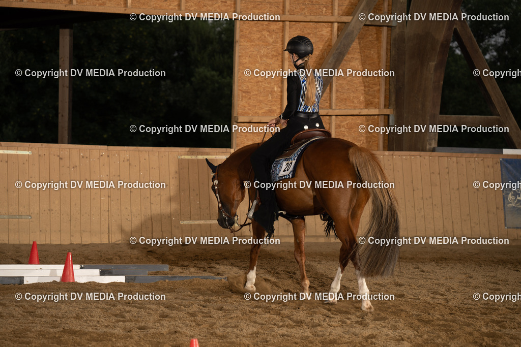 NE101418 | dv-media-shop - Realisiert mit Pictrs.com