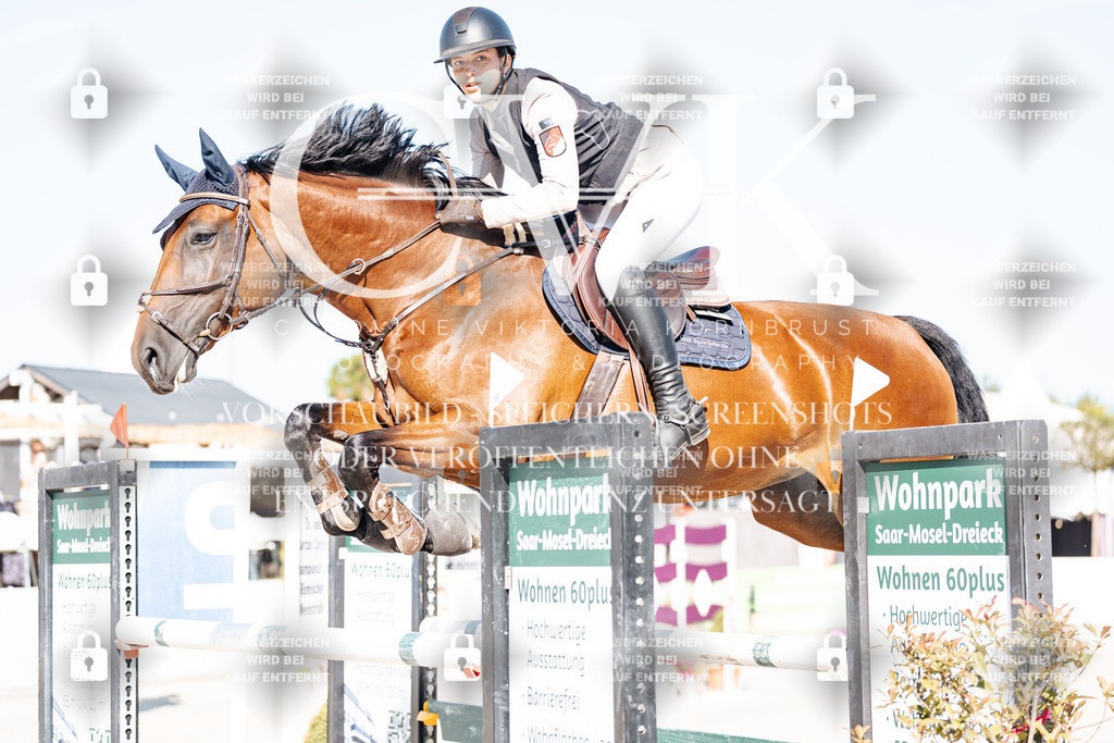 CK904559 | Turnierfotografie Pferdefotografie Trier Rheinland-Pfalz Pferdesport Reitsport Tierfotografie Sportfotografie Pferdevideo Pferdevideografie Equestrianvideography equestrianphotography  - Realisiert mit Pictrs.com