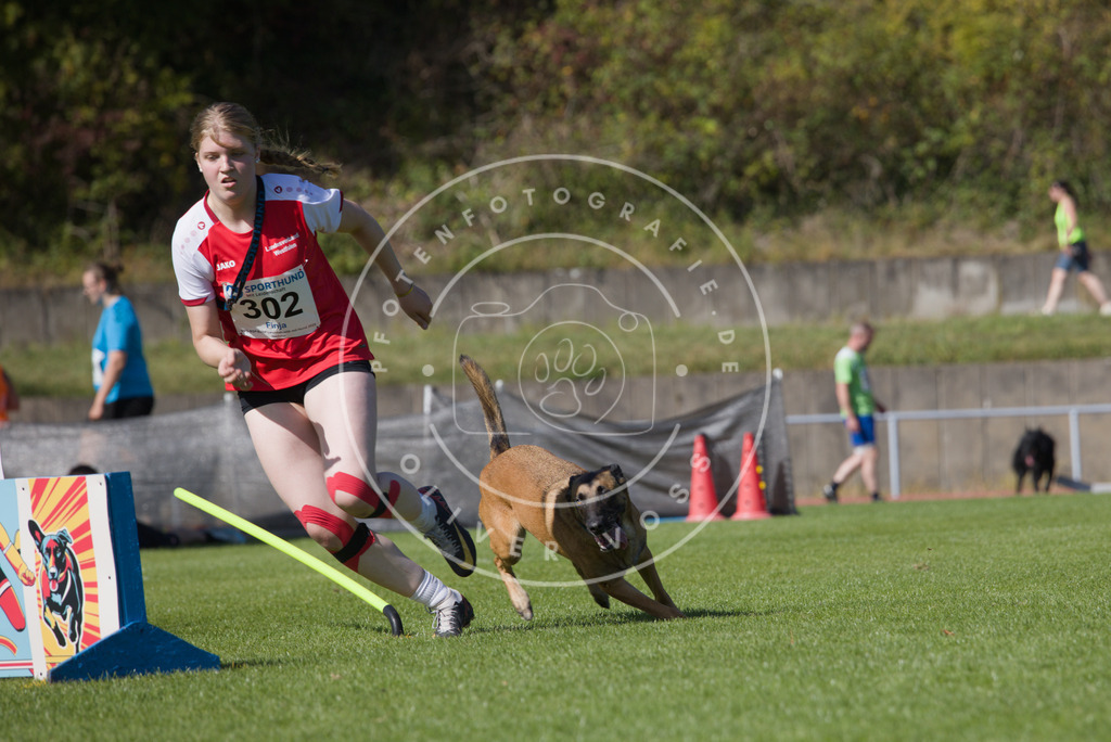 0L8A7658 | Hundefotografie, Tierfotograf, Pfotenfotografie, Fotoshooting Hund, Hunde Portrait, Hundesport, Hundeportraits, Heideshooting, Hunde, Sportfotograf, Hundefotograf, Turnierhundsport, THS,  - Realisiert mit Pictrs.com