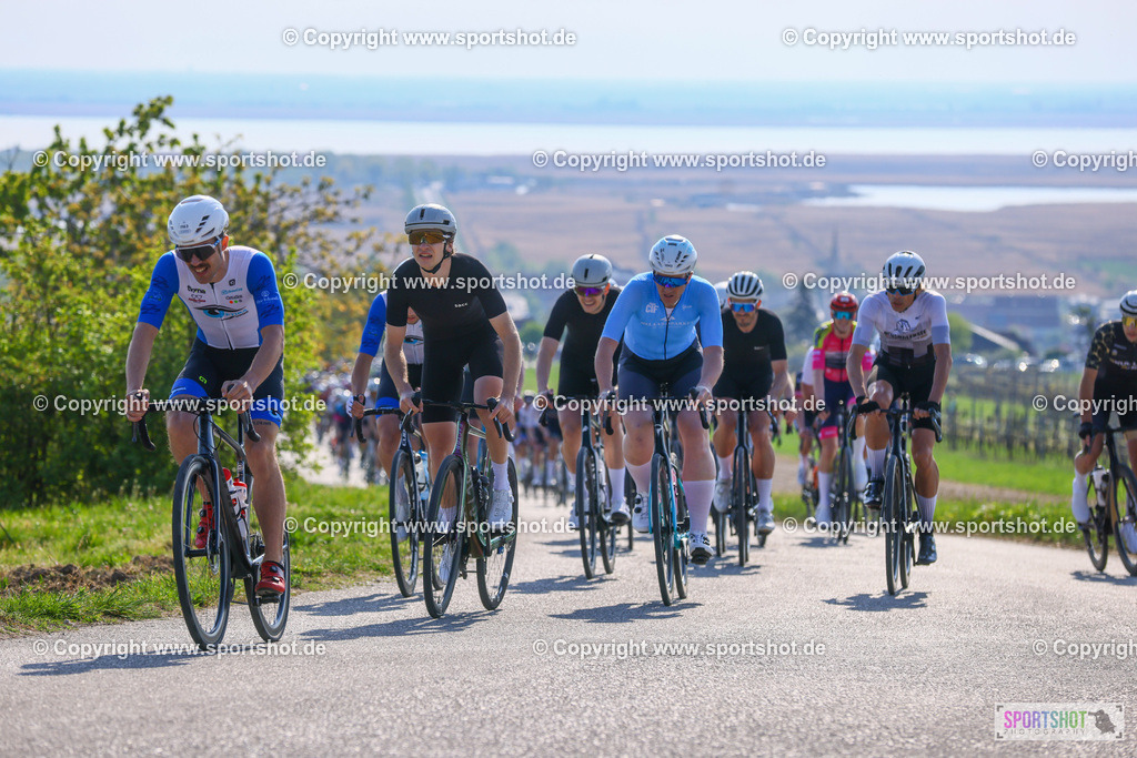 TRA_55190 (26) | Neusiedlersee Radmarathon 2026@sportshot_your_pictrs #yourpictures#roadtowm2029 #nrm #neusiedlerseeradmarathon #neusiedlersee #neusiedlerseetourismus #burgenland #mörbisch #nrm26 #burgenlandtourismus #voglundco #poweredbyburgenlandtourismus #radsport #rad #marathon #ucigranfondo #visitburgenland #ucigranfondoworldseries
