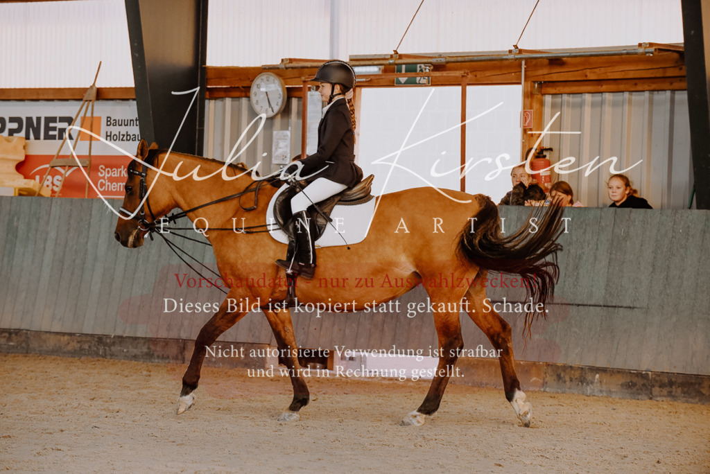 DSC_7579 | Pferde- und Turnierfotografie in Westsachsen. Pferdeportraits, Auftragszeichnungen und intuitive Kunst.