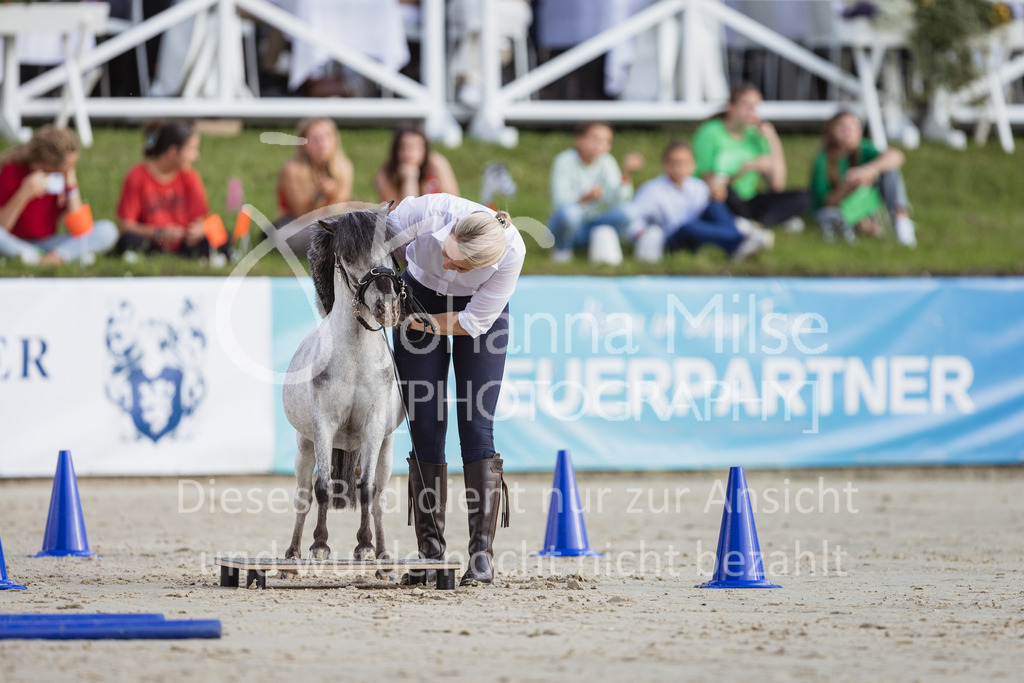 230728_BHO_Showprogramm-521 | Deine schönsten Turniermomente als professionelle Fotos! Entdecke hochwertige Pferdesport-Fotografie im Online-Shop. Jetzt Fotos finden & bestellen!