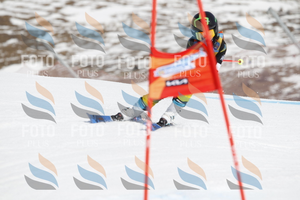 _U3G1927 | holidayphoto