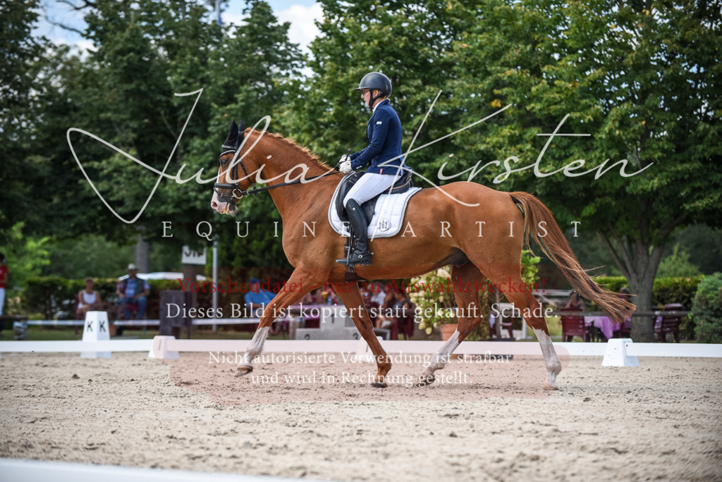 DSC_9225 | Pferde- und Turnierfotografie in Westsachsen. Pferdeportraits, Auftragszeichnungen und intuitive Kunst.