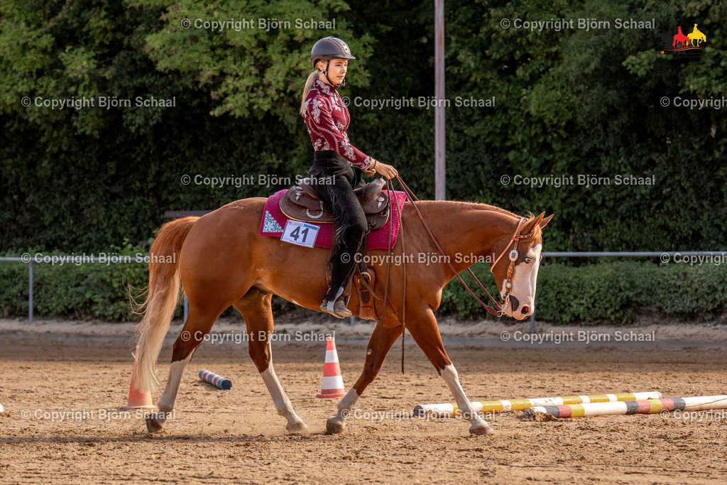 LMS07867 | BS-foto