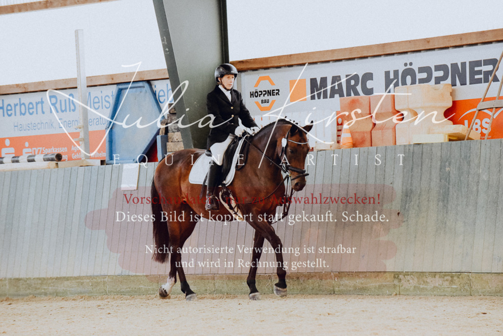 DSC_7322 | Pferde- und Turnierfotografie in Westsachsen. Pferdeportraits, Auftragszeichnungen und intuitive Kunst.