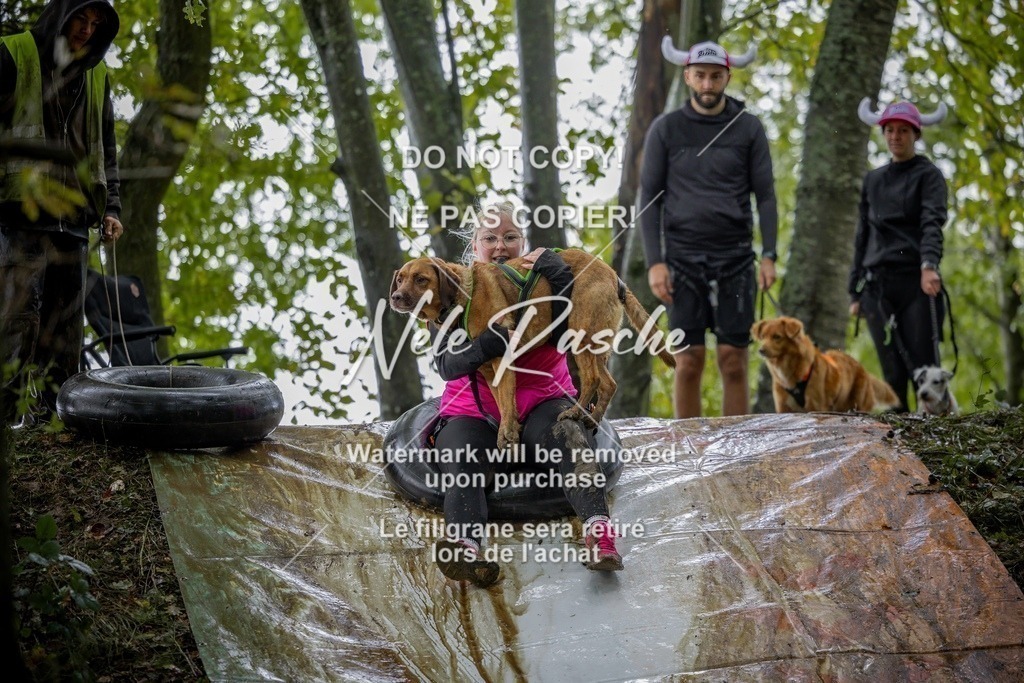 nelerasche_Hunsrück_Sa1430-1500_204-final | nelerasche