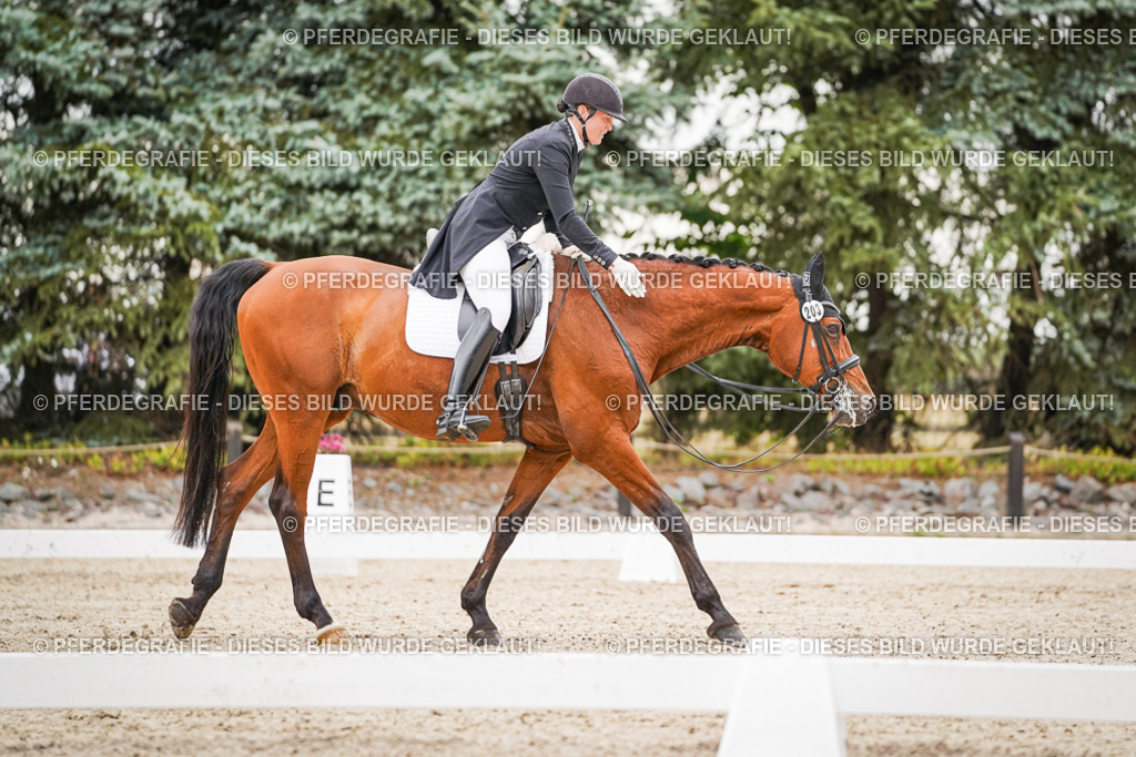 DSC07589 | Pferdegrafie