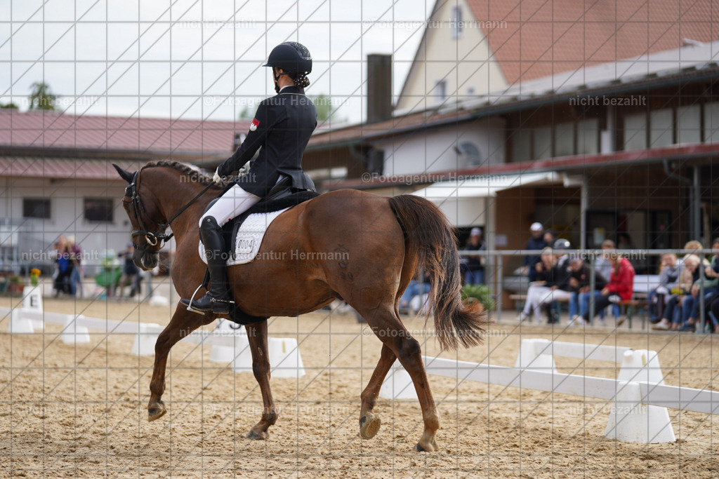 20240825-FAH00282 | Turnierbilder, Reitsportfotos, LAPO, Landesponyturnier, Turnierfotografen Bayern