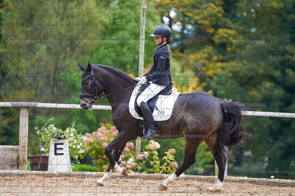 20221008-FAH00941 | Diessen am Ammersee, 2022, Dressur- und Springturnier, Reitsportbilder, Turnierfotografen Bayern, Pferdefotografen, Fotoagentur Herrmann, Turnierbilder