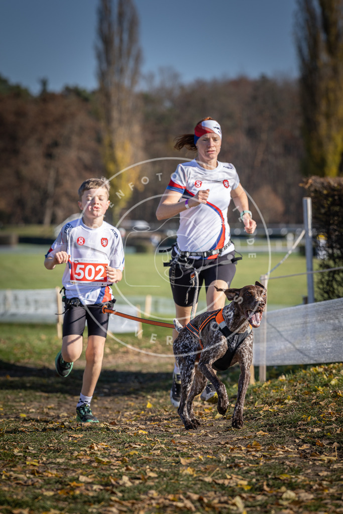 CaniXpix_DV3A7831 | Hundefotografie, Tierfotograf, Pfotenfotografie, Fotoshooting Hund, Hunde Portrait, Hundesport, Hundeportraits, Heideshooting, Hunde, Sportfotograf, Hundefotograf, Turnierhundsport, THS,  - Realisiert mit Pictrs.com