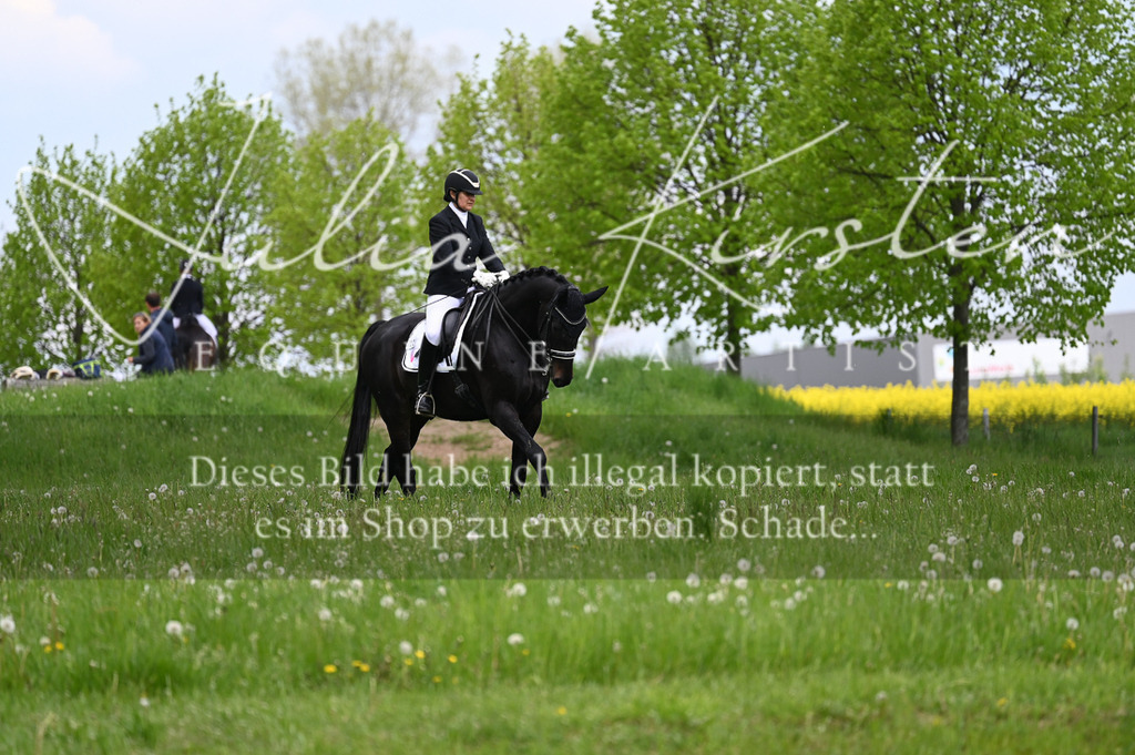 20230512_JK-Röhrsdorf-05-087 | Pferde- und Turnierfotografie in Westsachsen. Pferdeportraits, Auftragszeichnungen und intuitive Kunst.