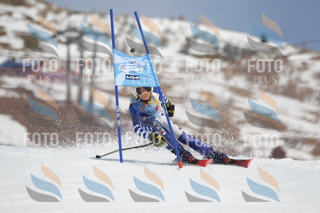 _U3G1961 | holidayphoto