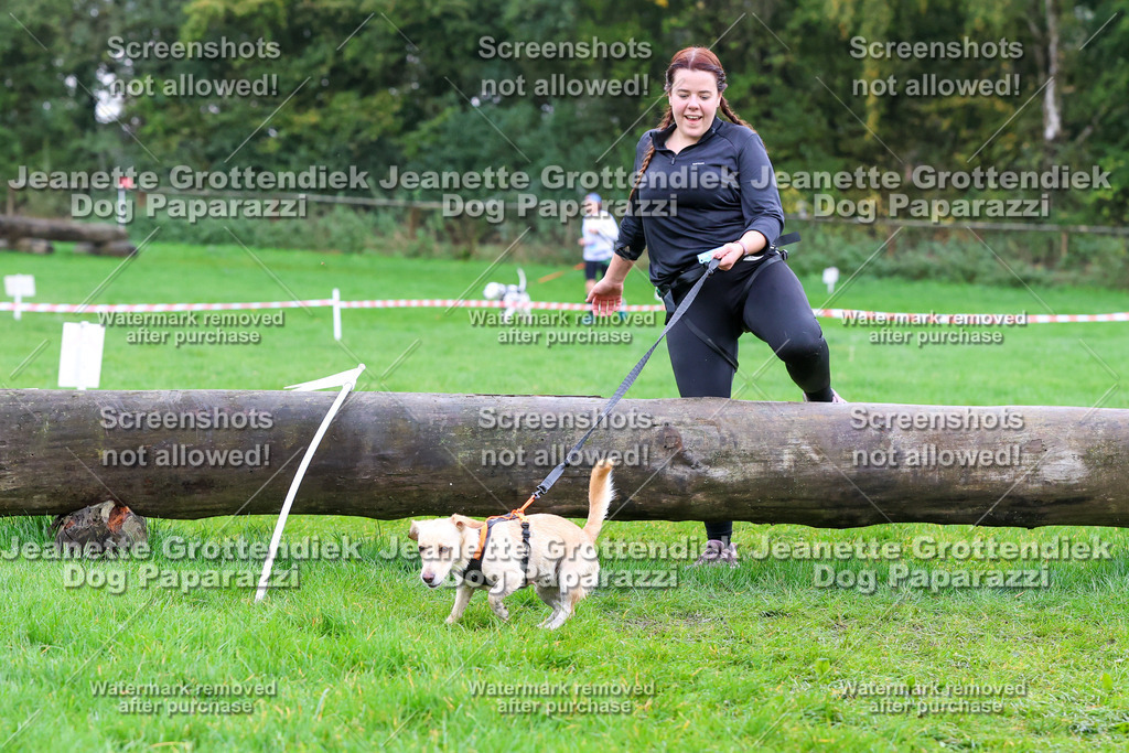 Dog Paparazzi -  SD1026-1891 | Dog Paparazzi Jeanette Grottendiek Fotografie & Videografie - Realisiert mit Pictrs.com