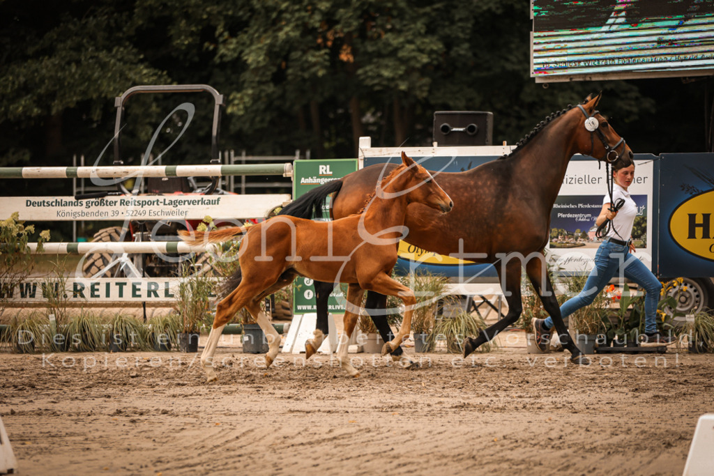 SaPA00265 | Leoni Ertmer Photography - Realisiert mit Pictrs.com