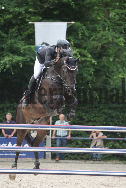 Ichenheim_2024_Prfg.Nr01_Springprfg_Kl.S_m.St._Julian Holzmann_Handsome 13 (11) | Alle Fotos der Reiterjournal Fotografin Doris Matthaes im Reiterjournal Online-Fotoshop. - Realisiert mit Pictrs.com