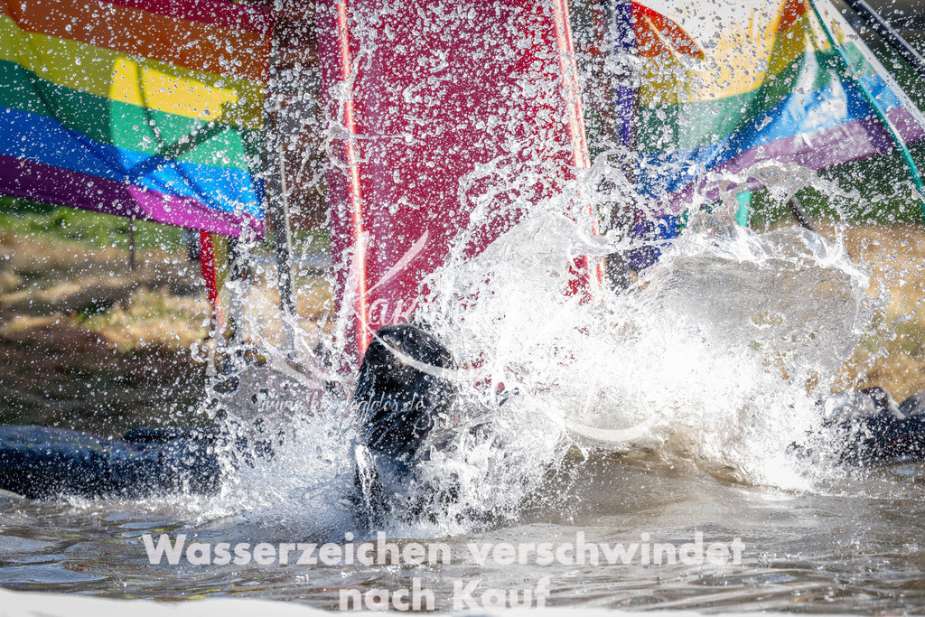 1633_ZZ90002 | kk-dogfotos