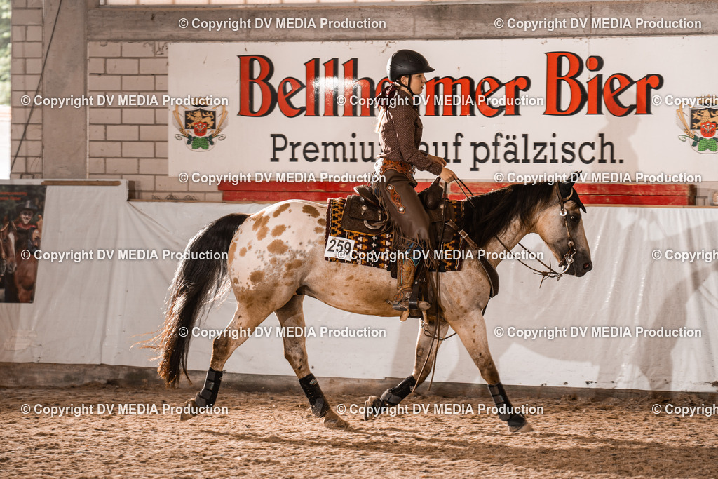 ZH200484 | dv-media-shop - Realisiert mit Pictrs.com