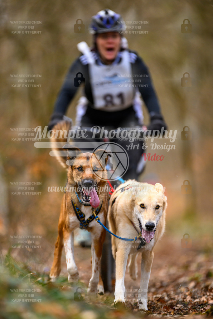 MompixPhotography_ReiatRennen2024_SO_Bike2H-39 | PayLife