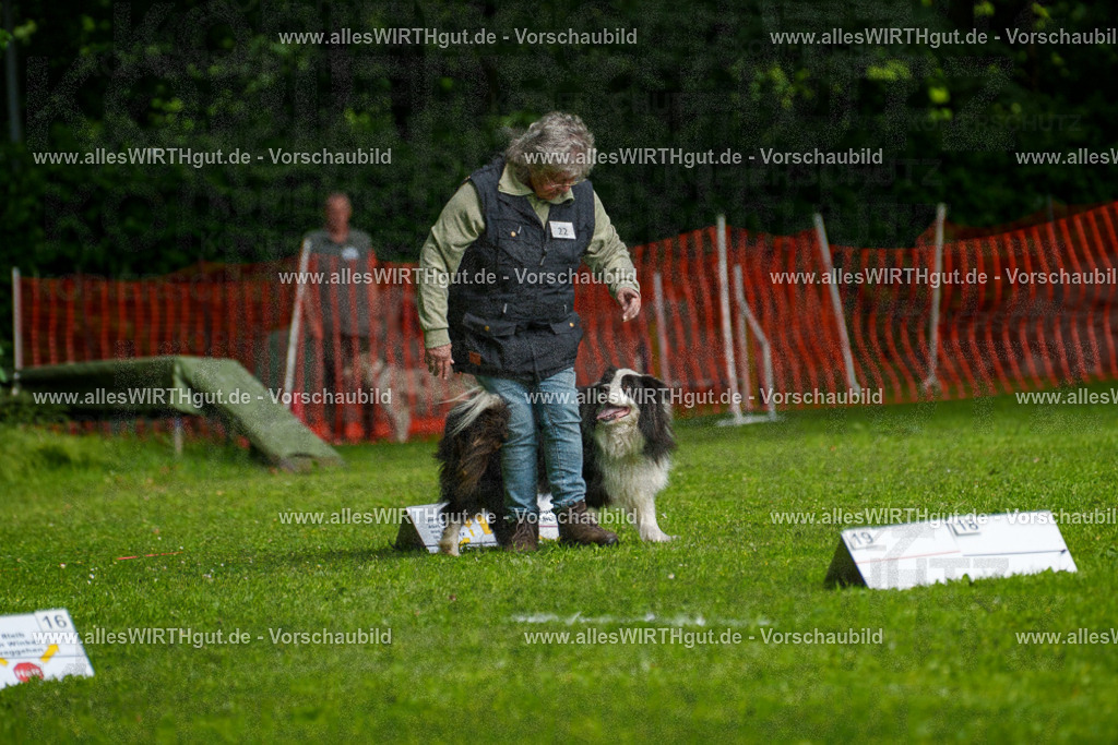 @allesWIRTHgut_Tierfotografie - www.allesWIRTHgut.de - 7R502753 | Professionelle Tierfotografie in Mönchengladbach von Daniel Wirth (allesWIRTHgut). Liebevolle & natürliche Bilder von Hunden & Katzen für unvergessliche Erinnerungen.