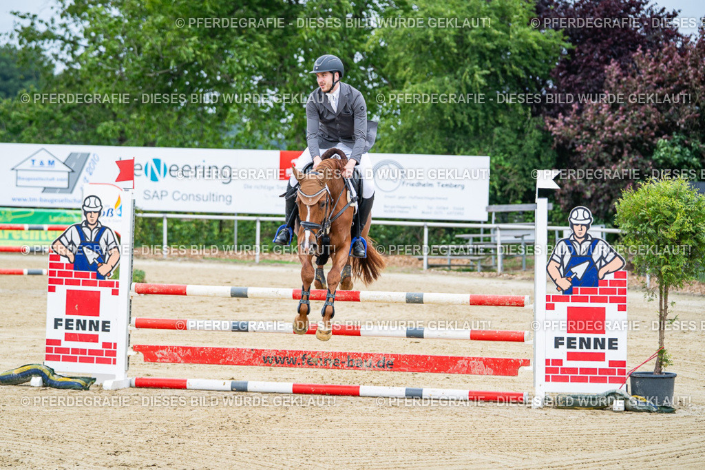 DSC03647 | Pferdegrafie