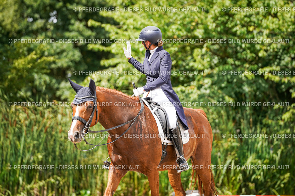 DSC06399 | Pferdegrafie