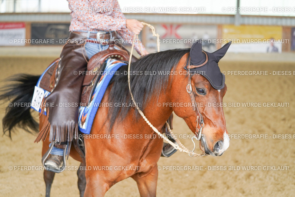 DSC01080 | Pferdegrafie