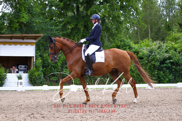 DKP41226 | Turnierfotos kaufen im Webshop von Daniel Kuhl Photography – entdecke professionelle Reitsportfotos aus Turnieren & Events. Hochwertige Turnierbilder online bestellen & sichern. Jetzt Fotos von Reitsportturnieren kaufen!
