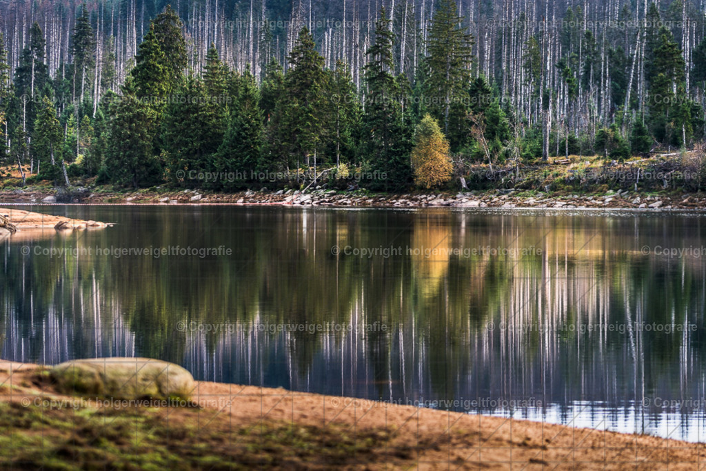 Spiegelung am Oderteich | Kaufen sie online außergewöhnliche Fotografien auf Leinwand Acrylglas Fotoprint Aludibond von holgerweigeltfotografie - Realisiert mit Pictrs.com