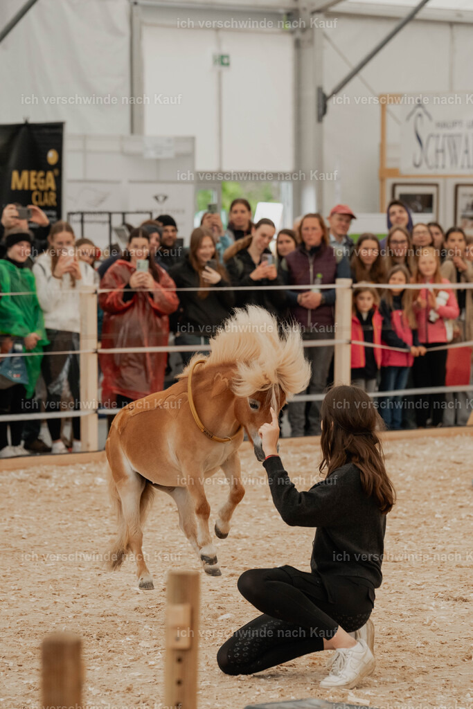 Showprogramm-66 | working equitationturnier fotograf videograf stoibphotography marixx film working equitation deutschland reitsport turnierfotografie eventfotografie equestrian events