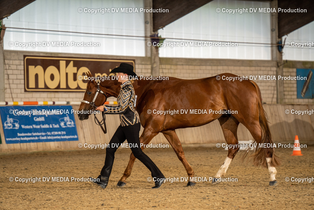 Zeiskam Tag 1-286 | dv-media-shop - Realisiert mit Pictrs.com