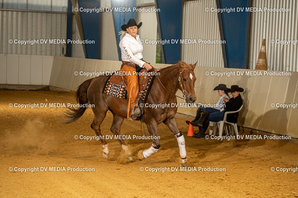 MIT00590 | dv-media-shop - Realisiert mit Pictrs.com