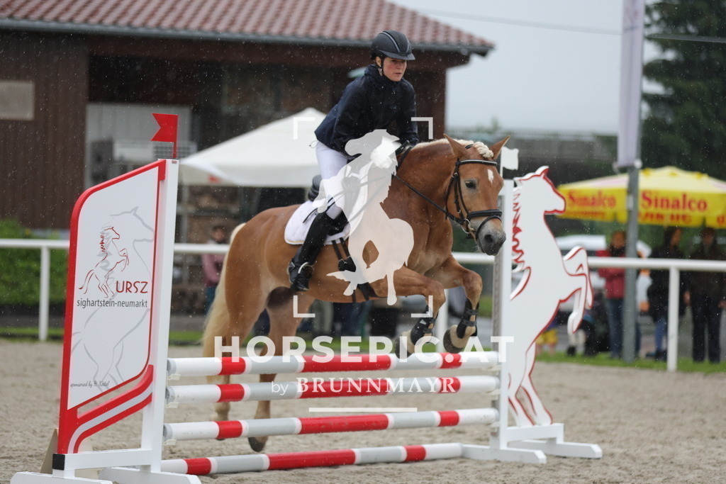 0P6A7637 | Willkommen bei Brunnmayr - Design & Fotografie – Ihrem Spezialisten für Reitturniere und Pferdeveranstaltungen in Oberösterreich, Salzburg und Bayern! Seit über 17 Jahren sind wir leidenschaftlich dabei.