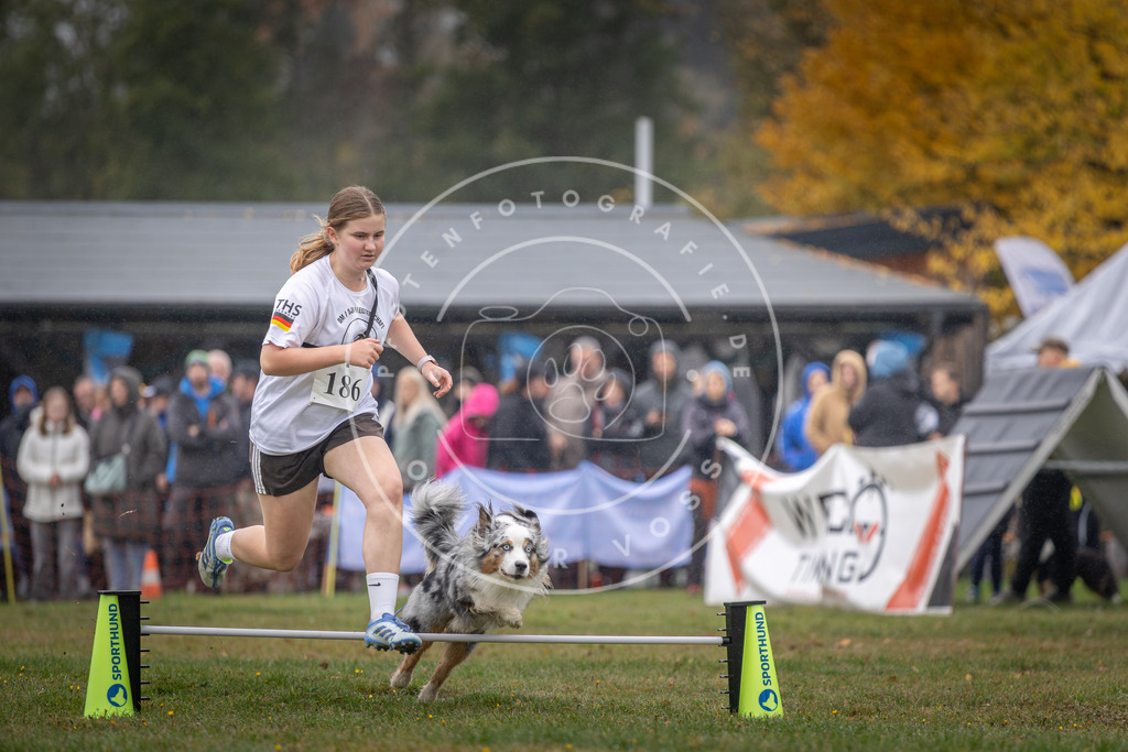 Pfotenfotografie_DV3A9771 | Hundefotografie, Tierfotograf, Pfotenfotografie, Fotoshooting Hund, Hunde Portrait, Hundesport, Hundeportraits, Heideshooting, Hunde, Sportfotograf, Hundefotograf, Turnierhundsport, THS,  - Realisiert mit Pictrs.com