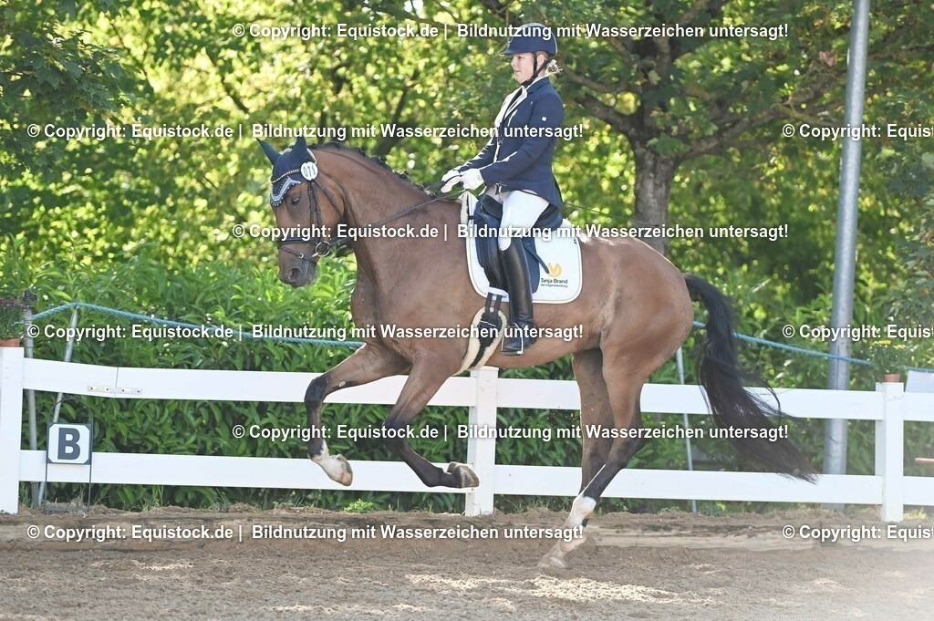20230715_06_Dressurpferdeprfg. Kl.A_0216 | equistock