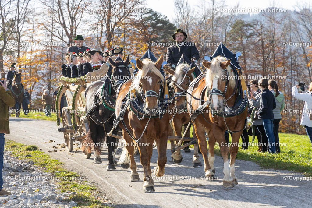 LBT24-1315 | foto-bettina-krinner - Realisiert mit Pictrs.com