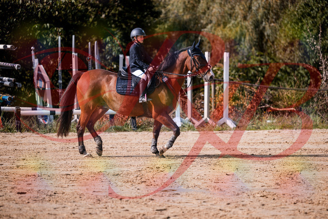 2026_10_03_Siefer-Hof_143727_Z81_06012678 | Professionelle Reitsport-, Turnier- und Eventfotografie von Robert Broda. Galerien mit ausgewählten und bearbeiteten Bildern direkt online ansehen und bestellen.