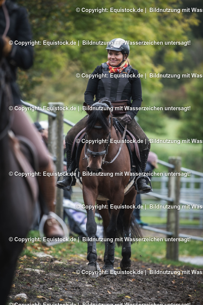 20241013_Jagd-Marbach_0146 | Foto: Thomas Hartig