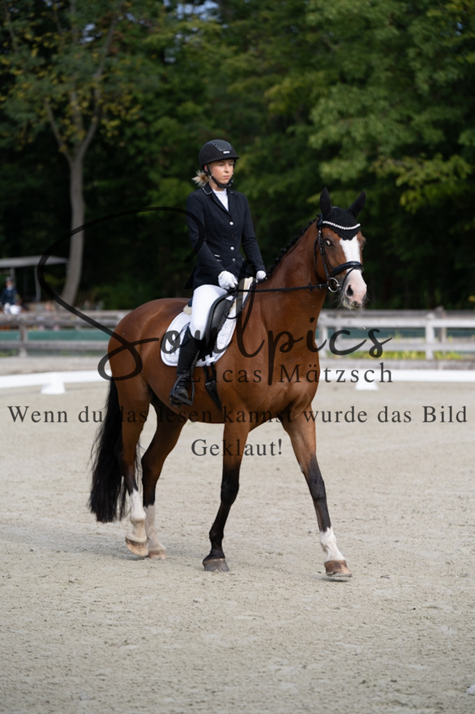 A7V06826 | Turnier/Reitfotograf