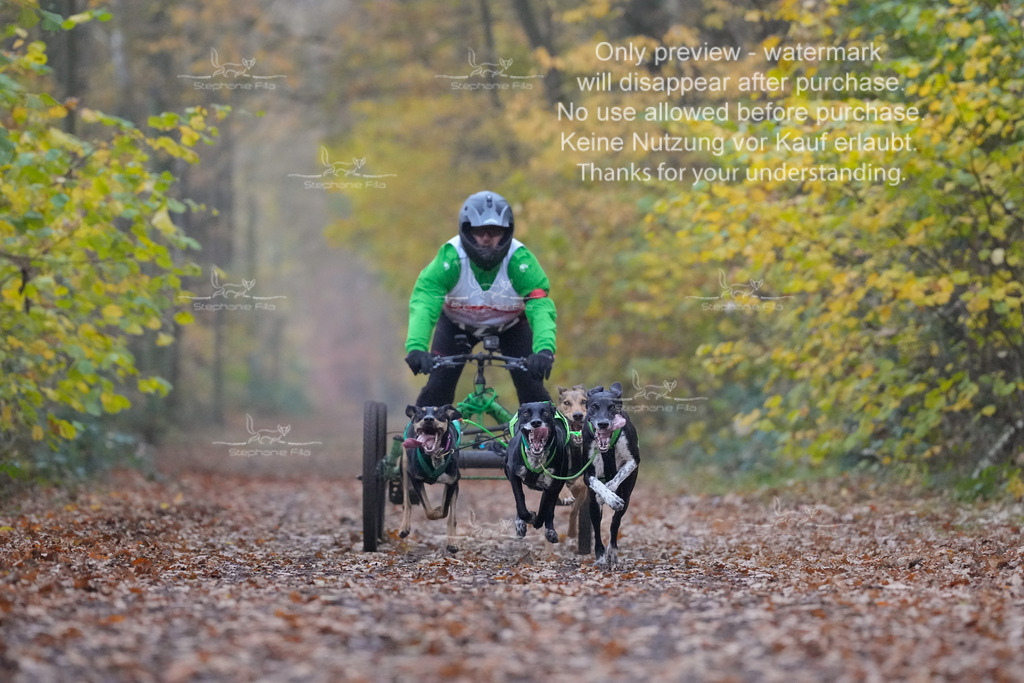 Rigs4bis8So-28 | stephaniefillaphotographie - Realisiert mit Pictrs.com