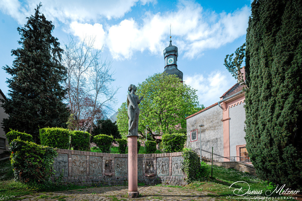 _DSC6567 | Fotografien, Fotos und Bilder aus Mainz, Frankfurt, Wiesbaden und anderen Orten auf der Welt - Fotografiert von Darius Metzner