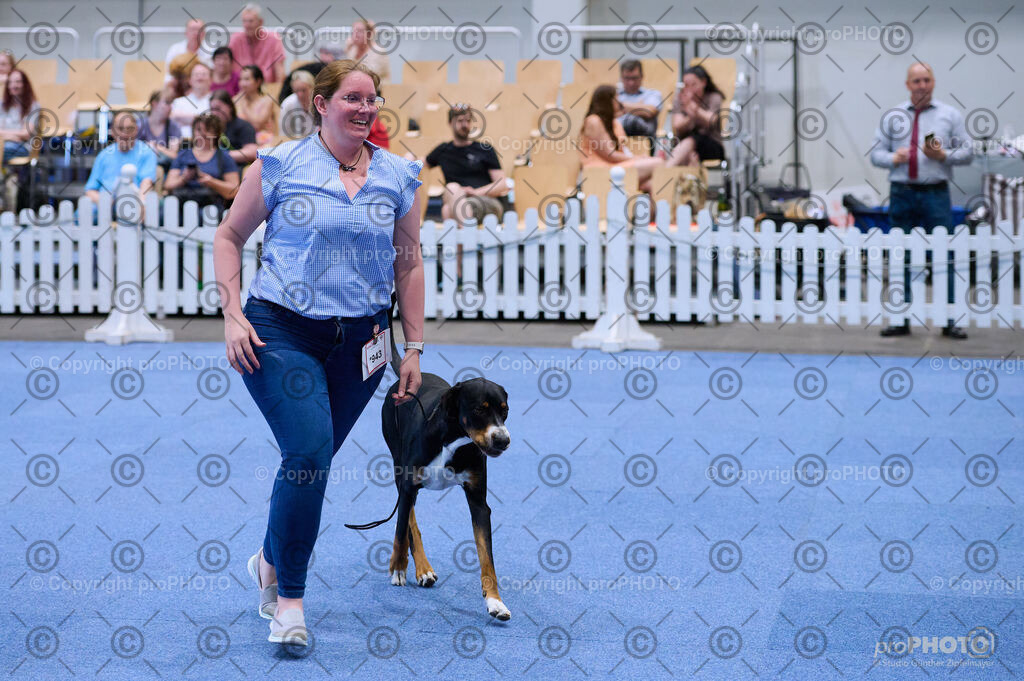 202406_ÖKV-IHA-Tulln24_DSC_4069 | proPHOTO - Realisiert mit Pictrs.com