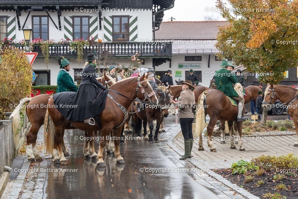 LL25-341 | foto-bettina-krinner - Realisiert mit Pictrs.com