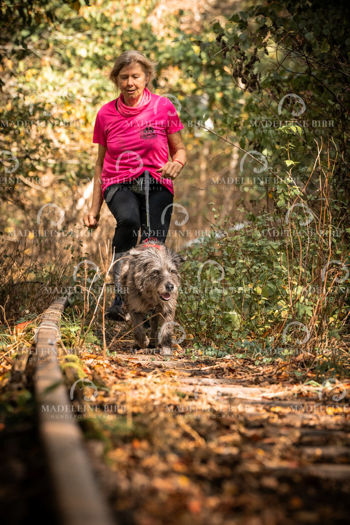 madeleinebirr.fotografie.2026.cc.hunsrueck.12-13Uhr.184 | hundefotografie-birr