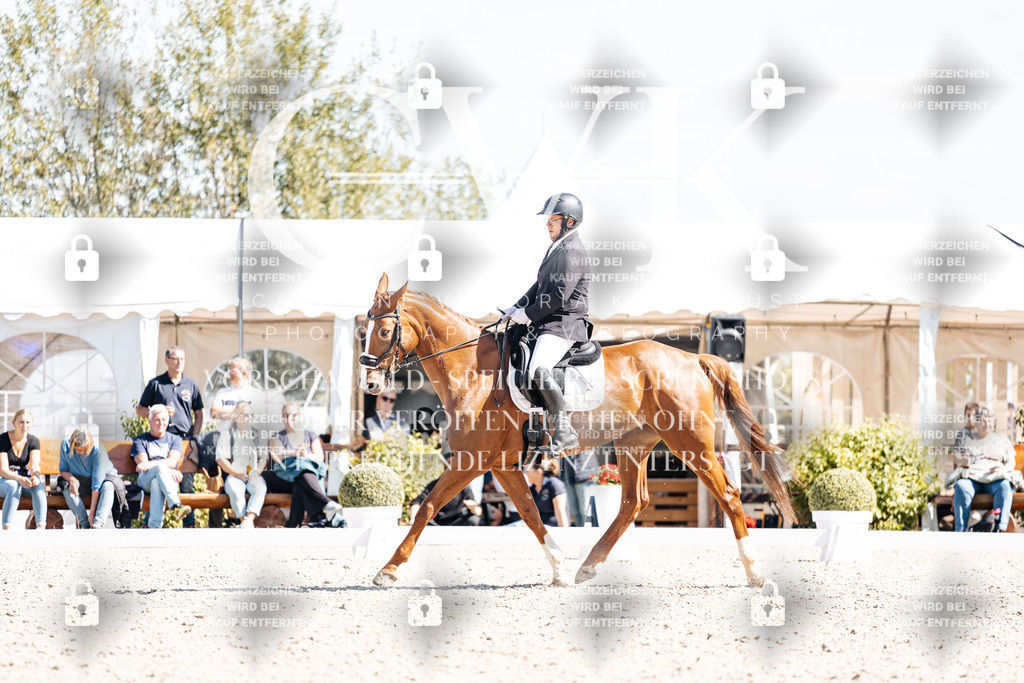 CK903319 | Turnierfotografie Pferdefotografie Trier Rheinland-Pfalz Pferdesport Reitsport Tierfotografie Sportfotografie Pferdevideo Pferdevideografie Equestrianvideography equestrianphotography  - Realisiert mit Pictrs.com