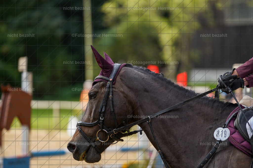 20231008-SN_01238 | Diessen am Ammersee, 2023, Dressur- und Springturnier, Reitsport, Turnierfotografie, Pferdebilder, Reitbilder, Turnierfotografen Bayern, Fotoagentur Herrmann
