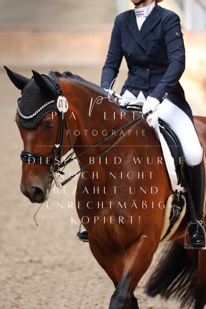 IMGM3868 | pl-fotografie