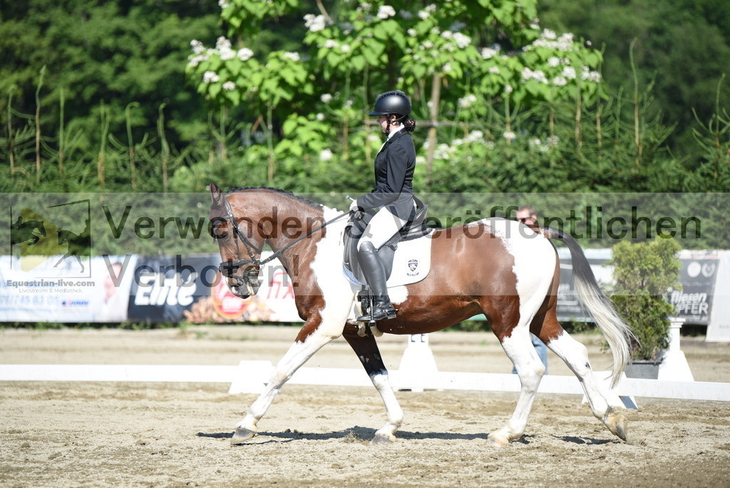 DSC_7703 | equestrian-live-com